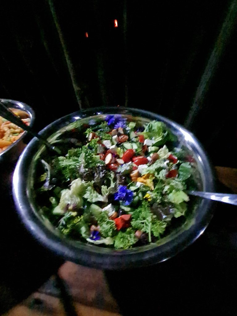 Fresh garden salad side dish for spitbraai catering in Port Elizabeth (Gqeberha) and Uitenhage (Kariega) by Pedros Asado.